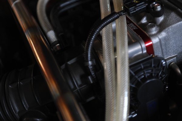 130718 s2 DSC_2041.jpg